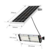 Reflector LED Solar 60W NSL